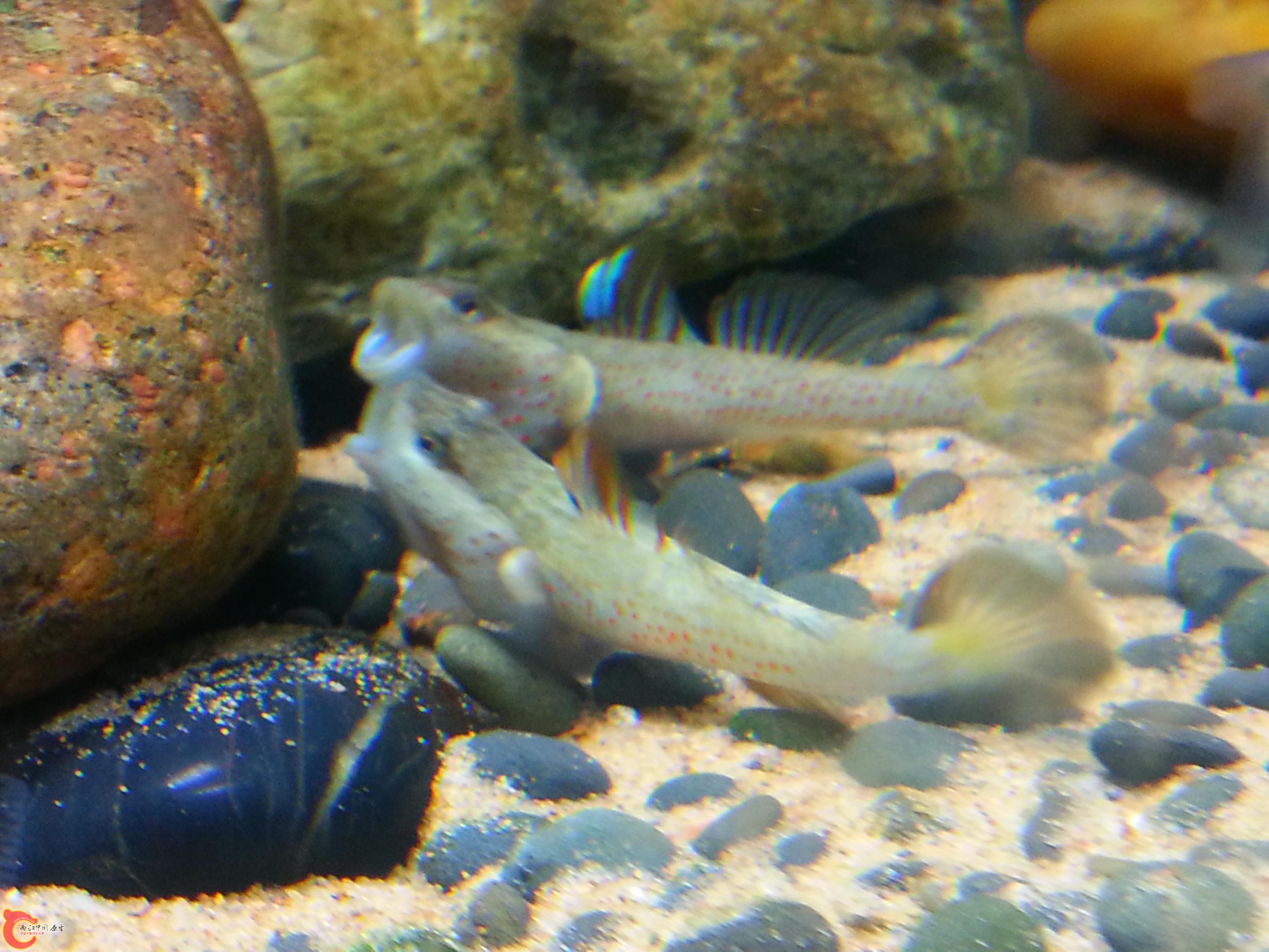 20151016_192225.JPG