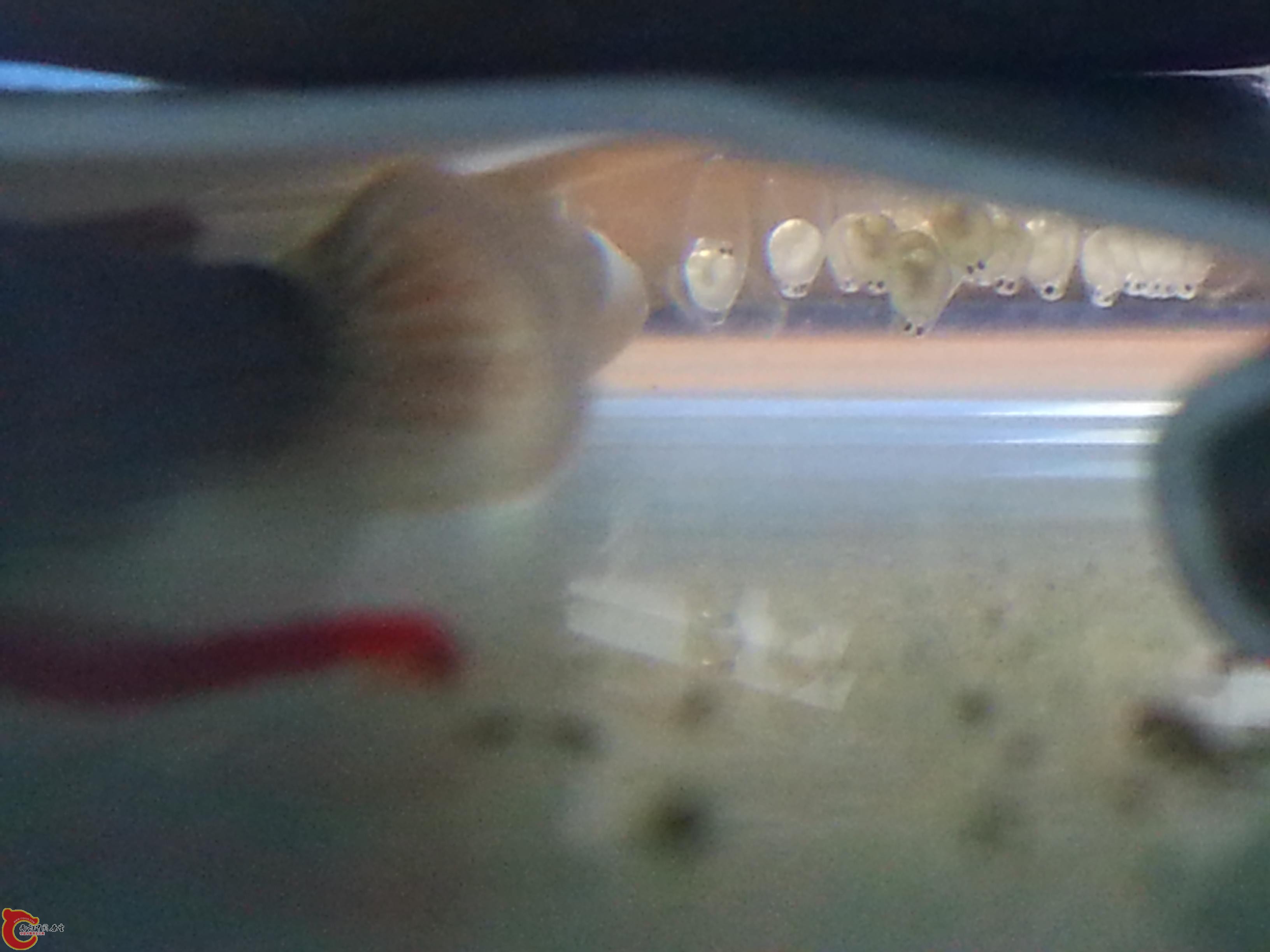 20151020_170805.JPG