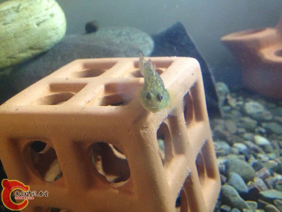 QQ图片20151022120414.jpg