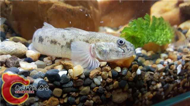 20151029_200226.jpg