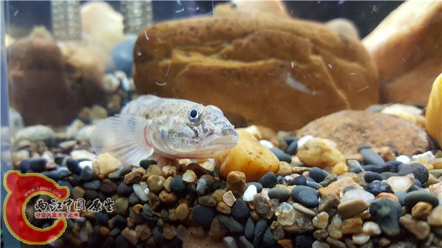 20151029_200316.jpg