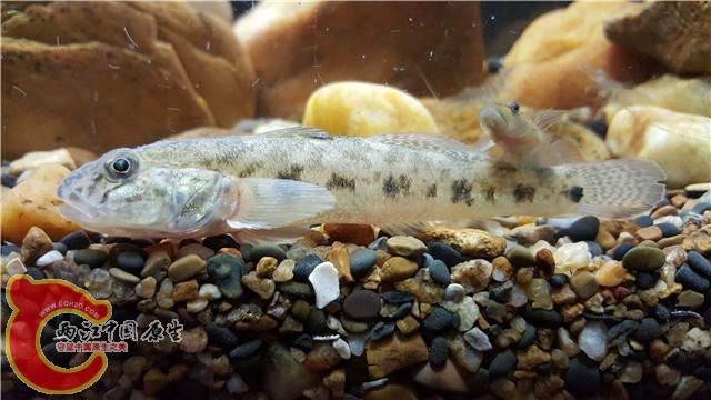 20151029_201756.jpg
