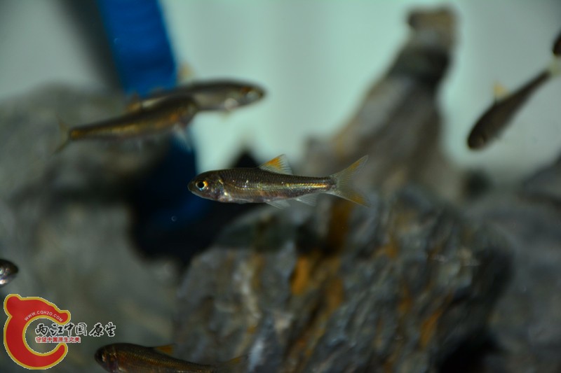 DSC_1355.JPG