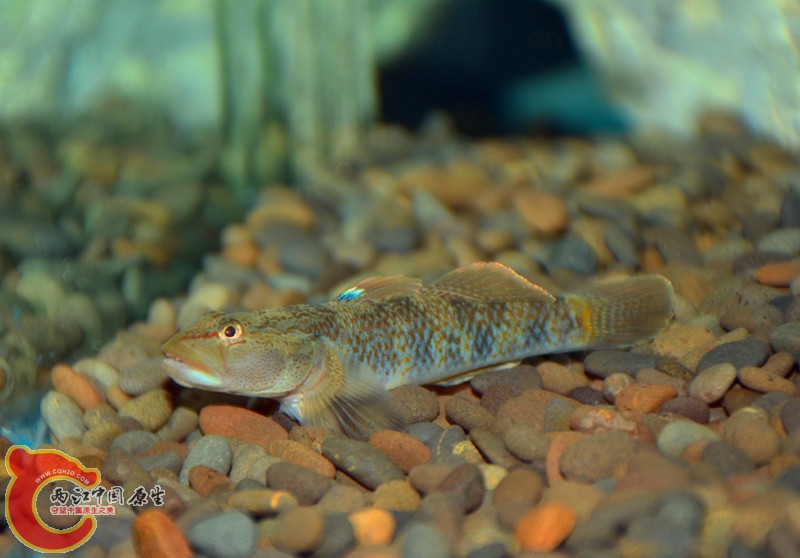 DSC_1359.JPG