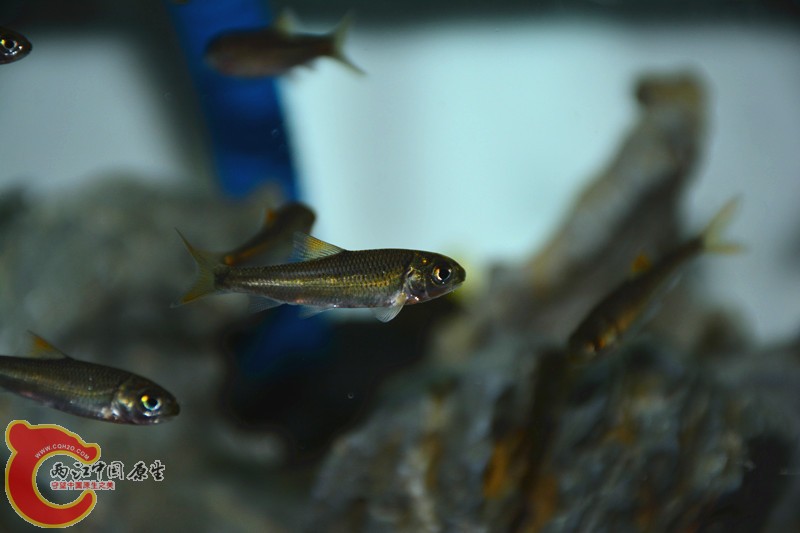 DSC_1362.JPG