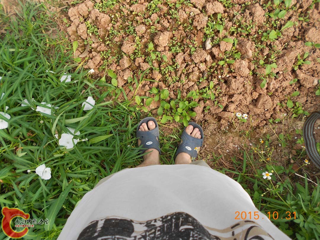 DSCN6118.JPG
