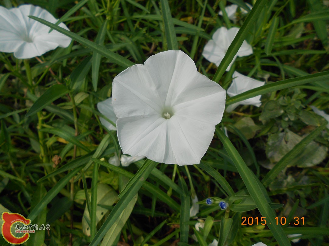 DSCN6120.JPG