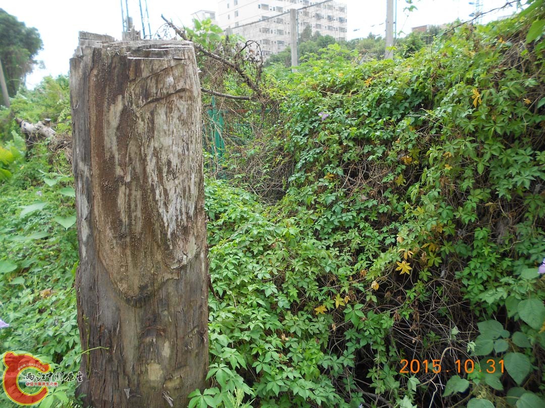 DSCN6136.JPG