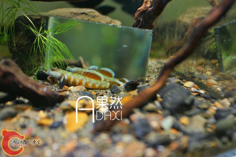 1P~E3`ENY~_2I[N72$NQG01.jpg