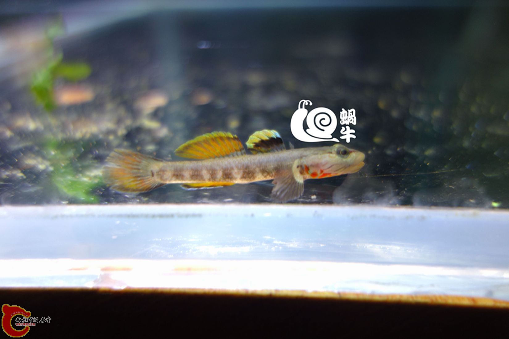 002_副本.jpg
