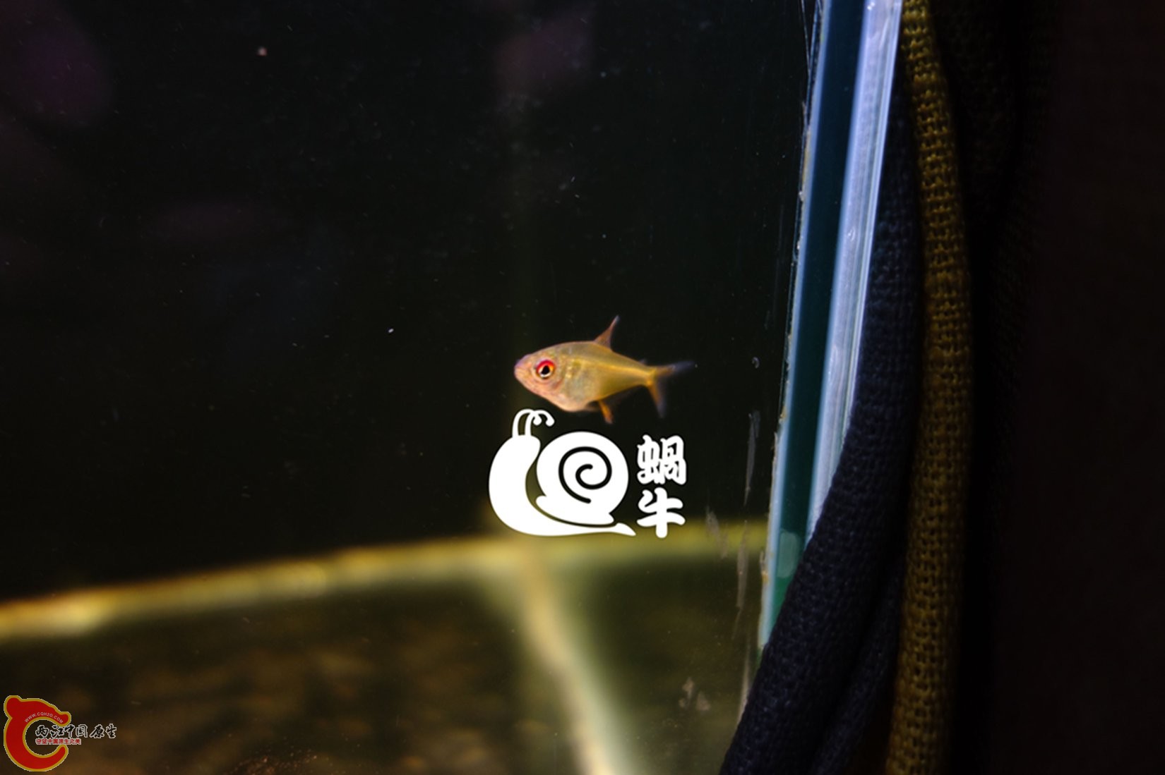 004_副本22.jpg