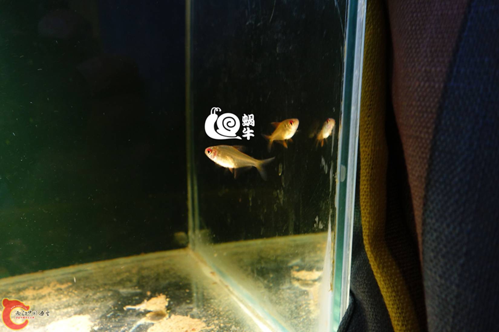 026_副本.jpg