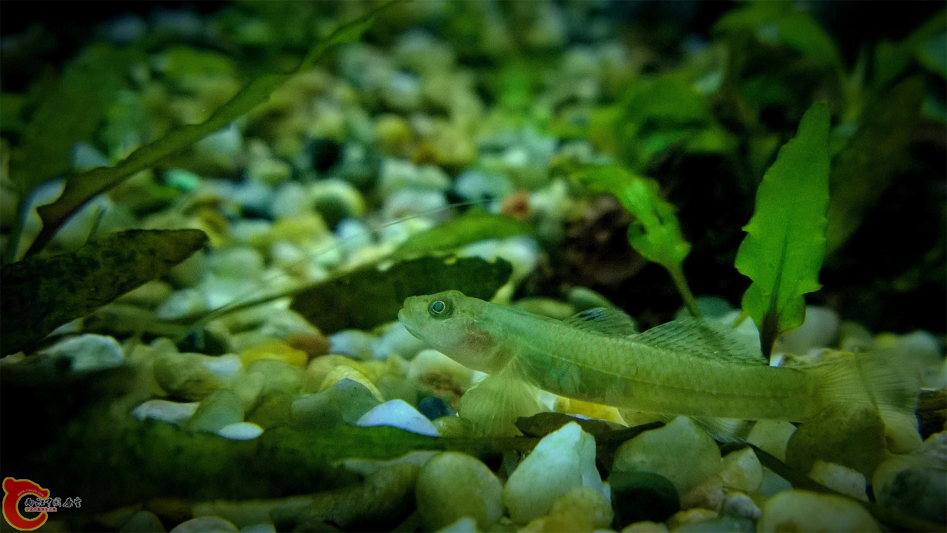 WP_20151107_20_03_02_Pro_e.jpg