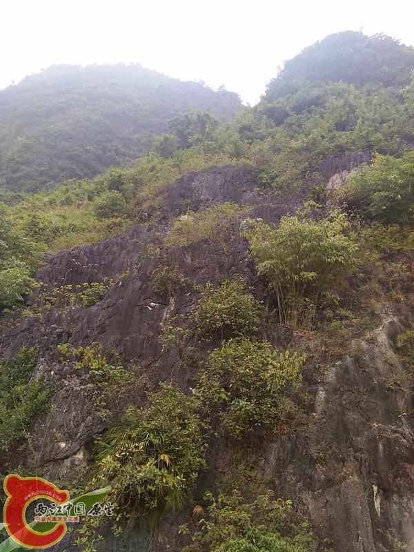 我的位置就是我家楼上