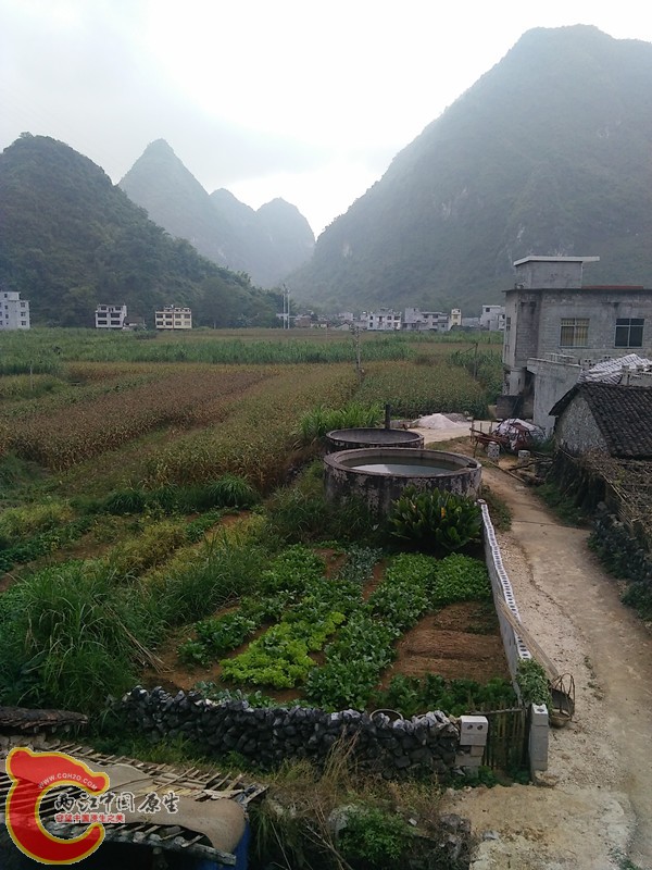 邻居盖新房，2个水池全拆了