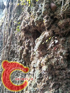 乳石还在长，下雨就长一点