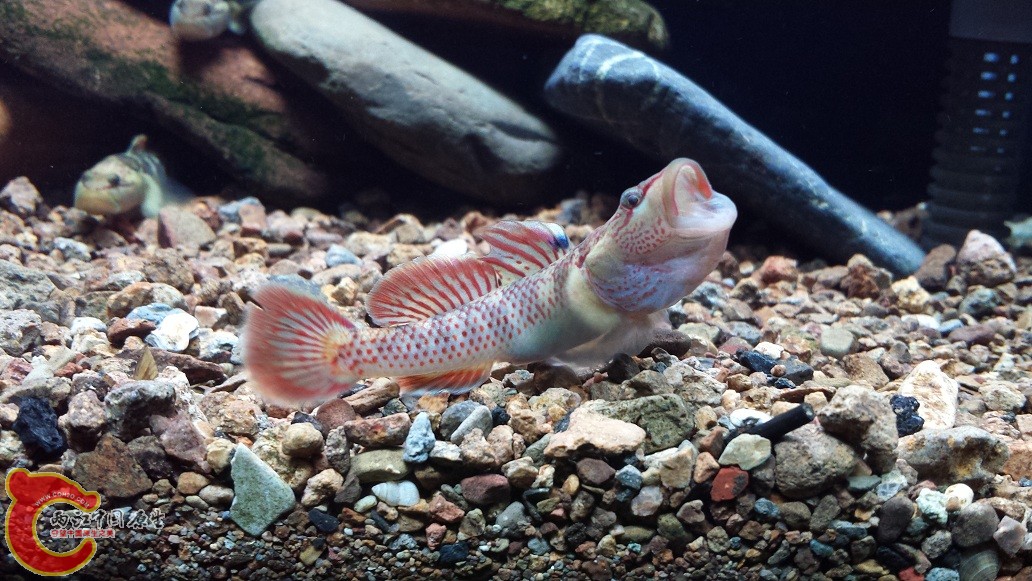 20151123_231543.jpg