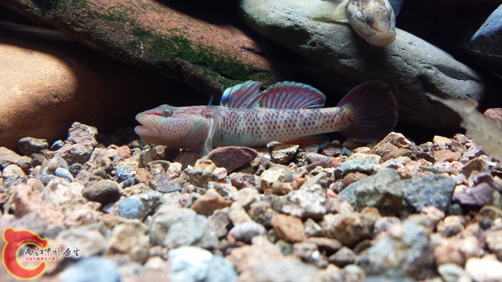 20151123_185617.jpg