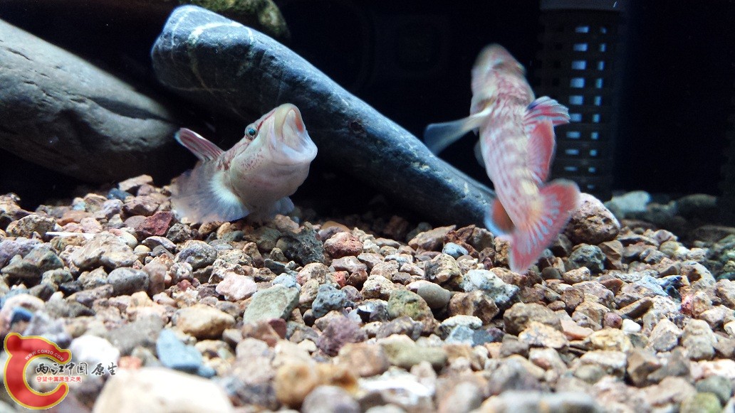 20151123_201001.jpg
