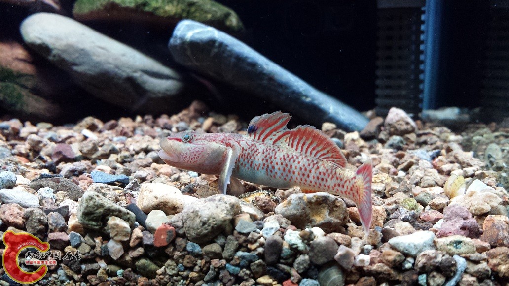 20151123_201356.jpg