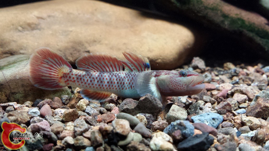 20151123_204627.jpg
