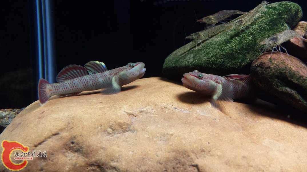 20151123_213255.jpg