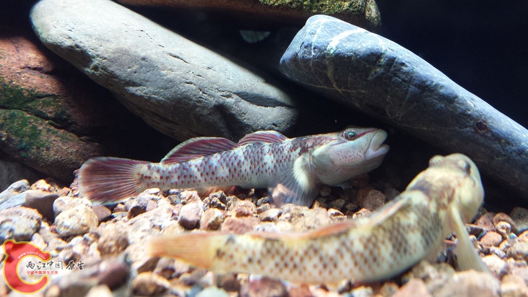 20151124_202828.jpg