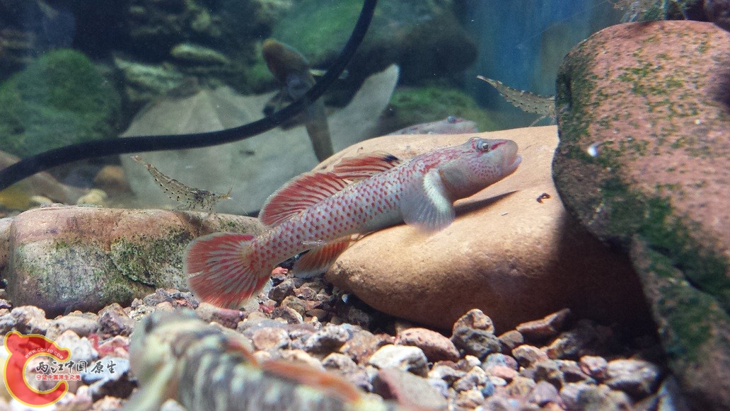 20151125_120356.jpg