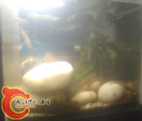 QQ图片20131213193631.png