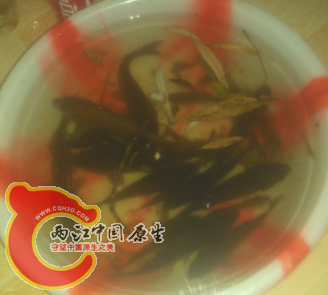鲫鱼  已烧汤