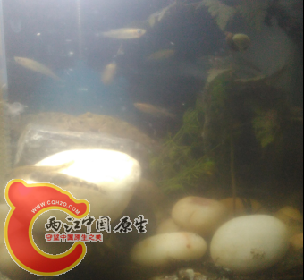 QQ图片20131213193644.png