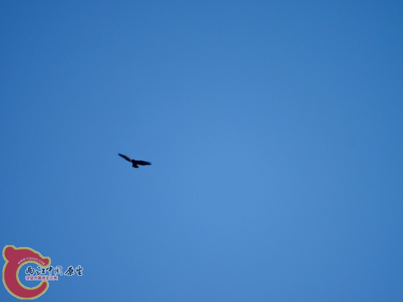 DSC02064.JPG