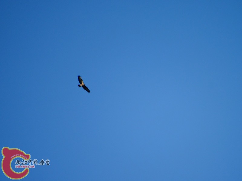 DSC02065.JPG