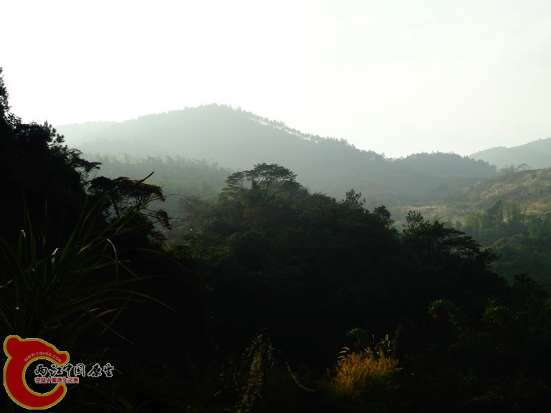 DSC02079.JPG