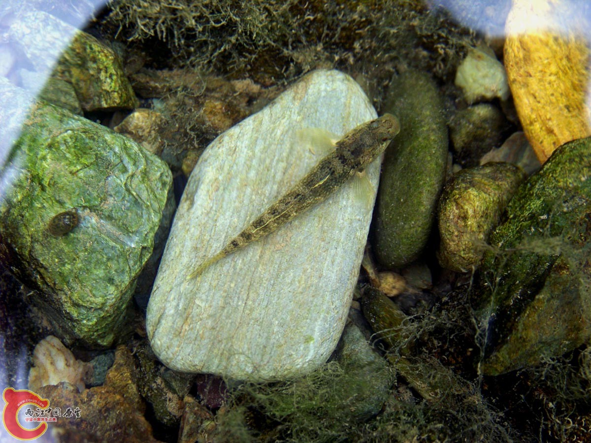 100_1835.JPG