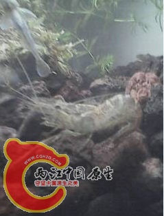 CFC7W}C~_QH3(G(H~2`9FDX.png