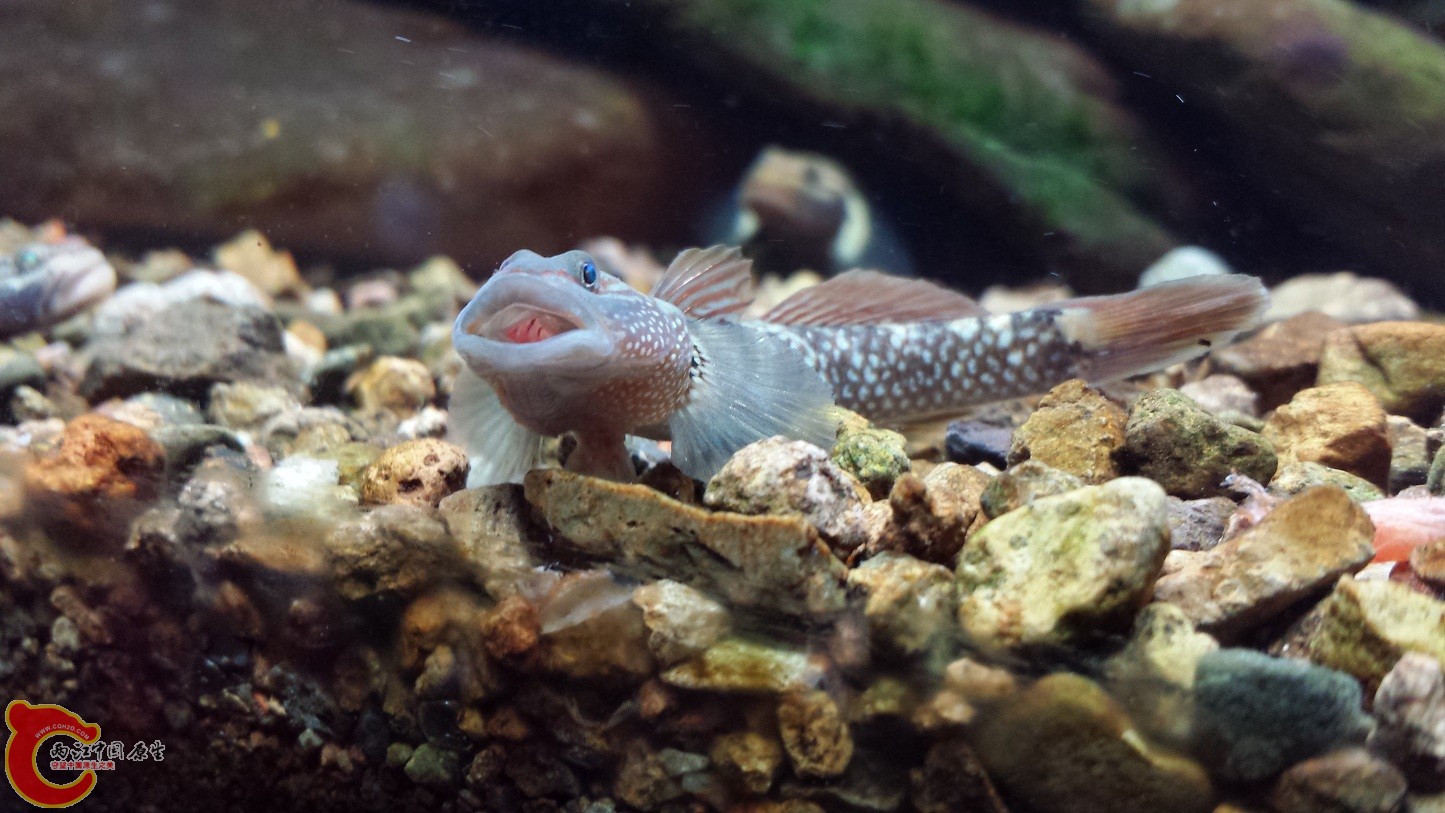 20140915_202349.jpg