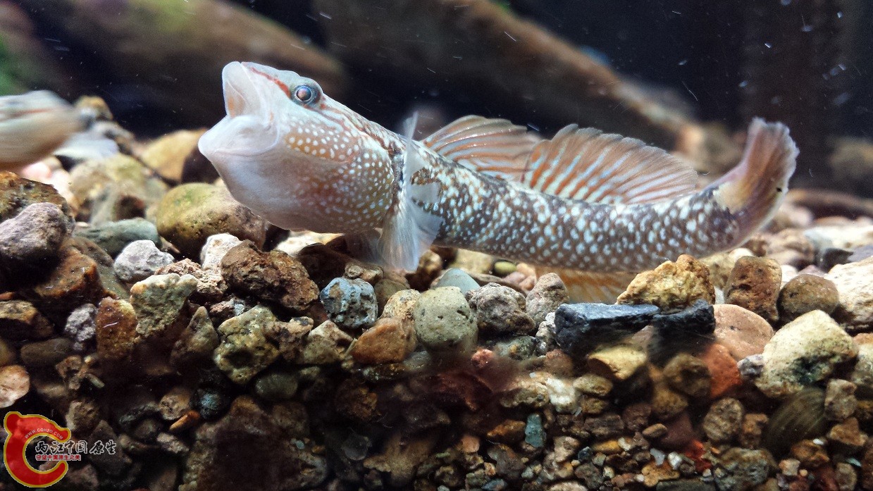 20140915_215842.jpg