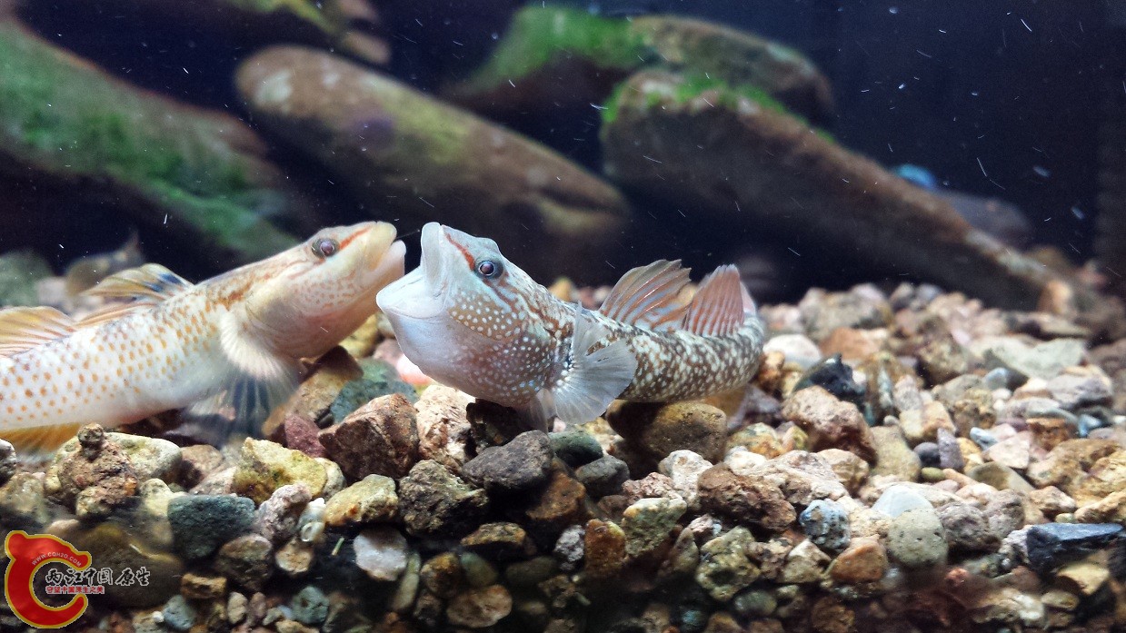 20140915_220723.jpg