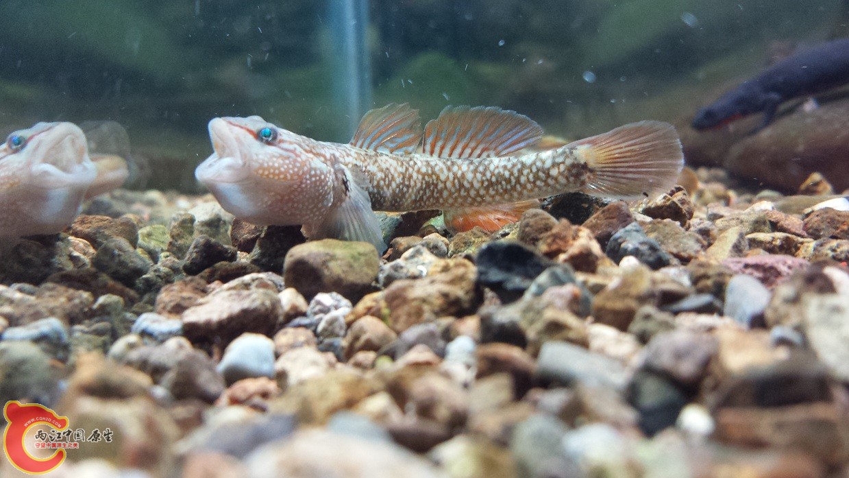 20140915_220837.jpg