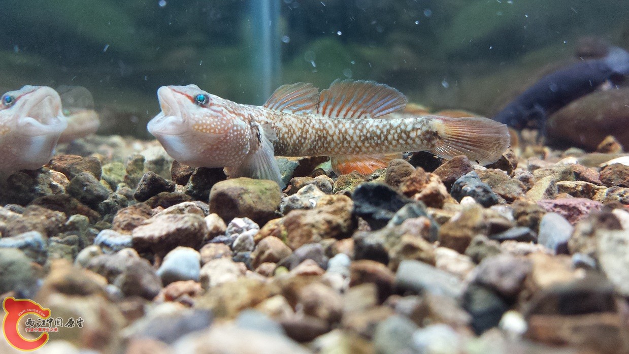 20140915_220839.jpg