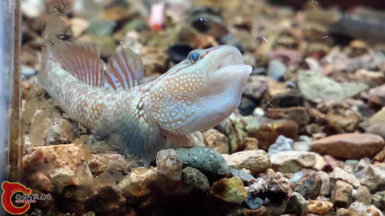 20140915_221409.jpg