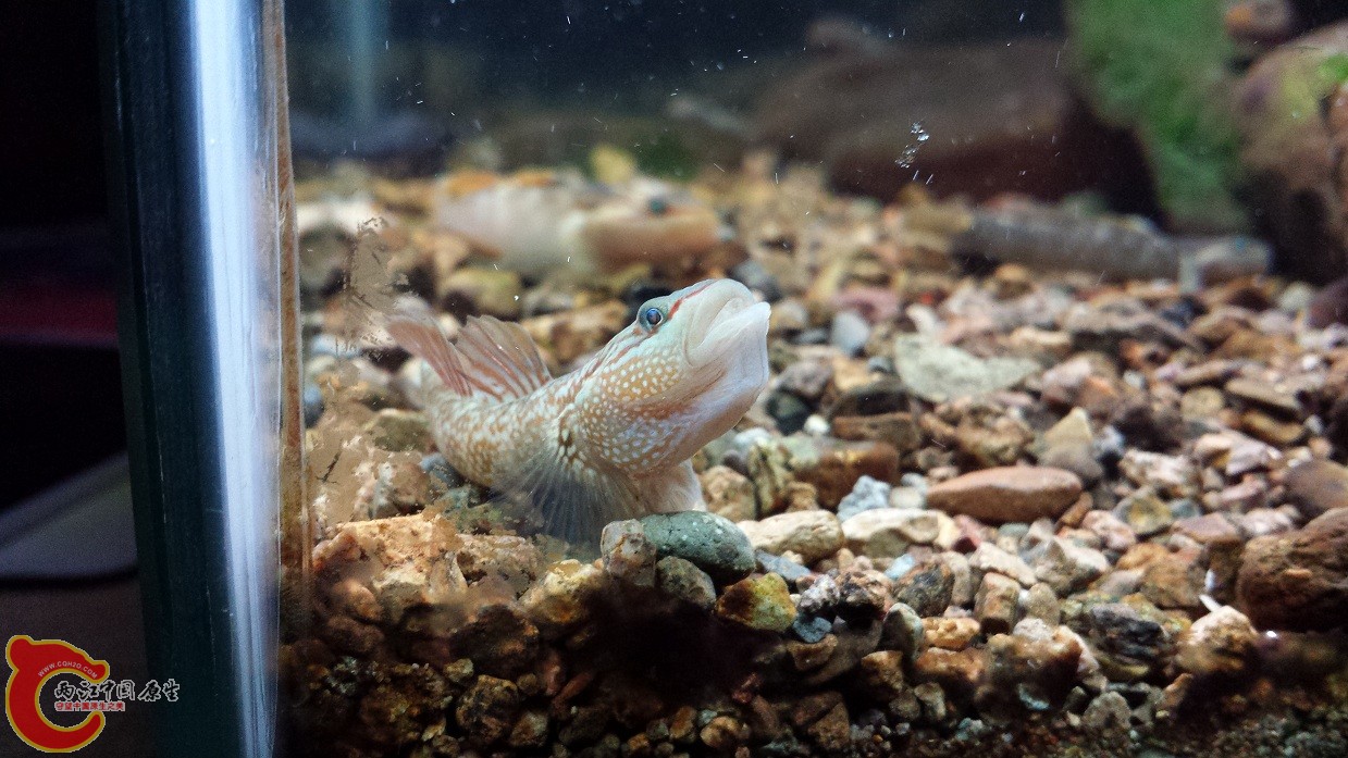20140915_221416.jpg
