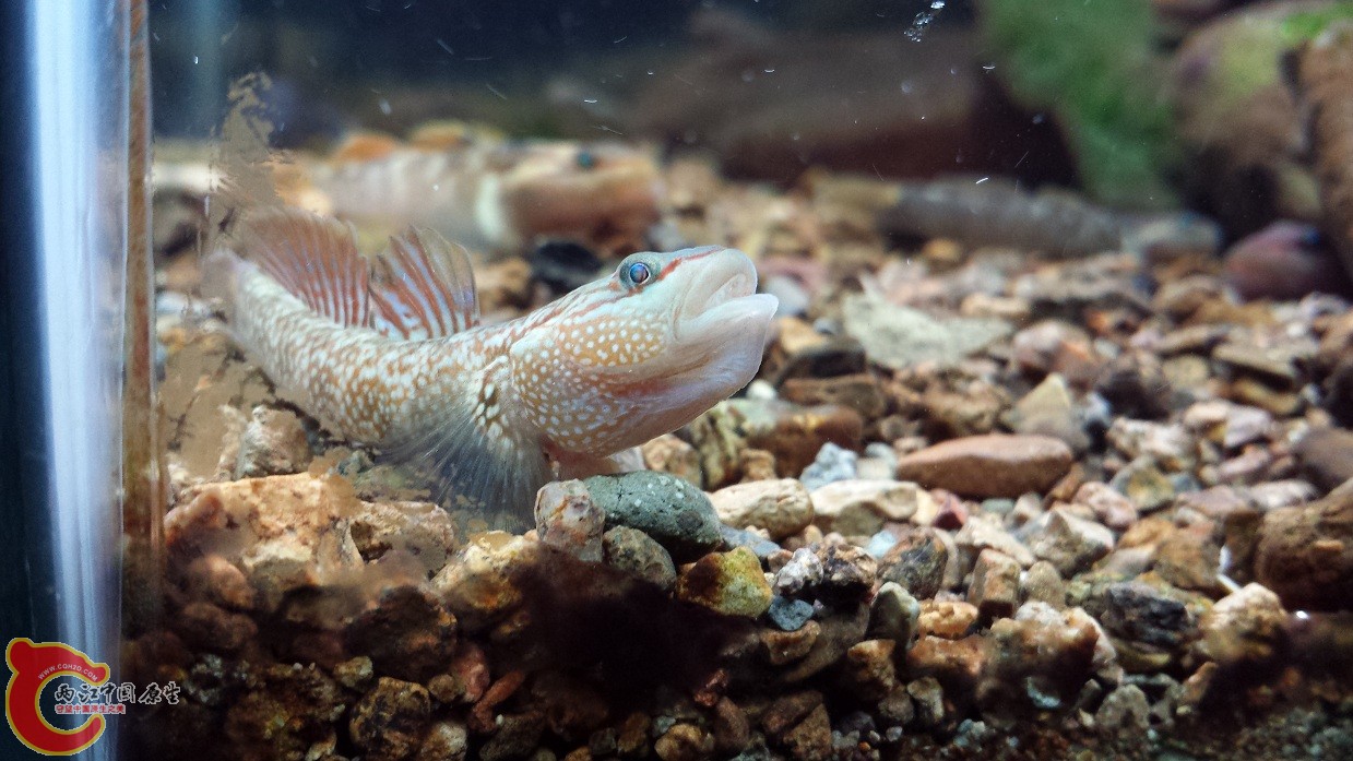 20140915_221438.jpg