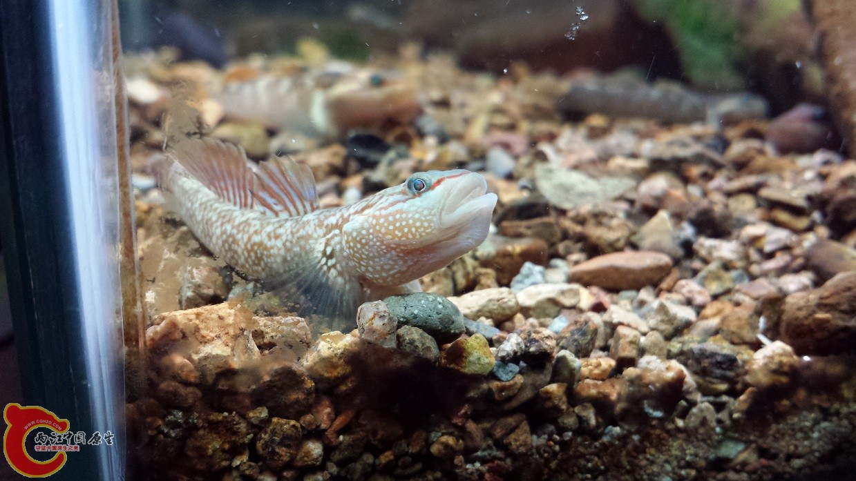 20140915_221443.jpg