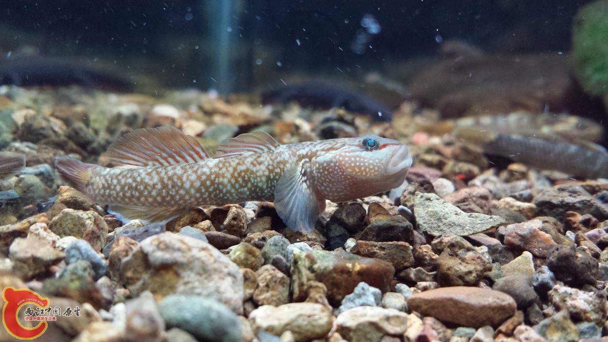 20140915_221511.jpg