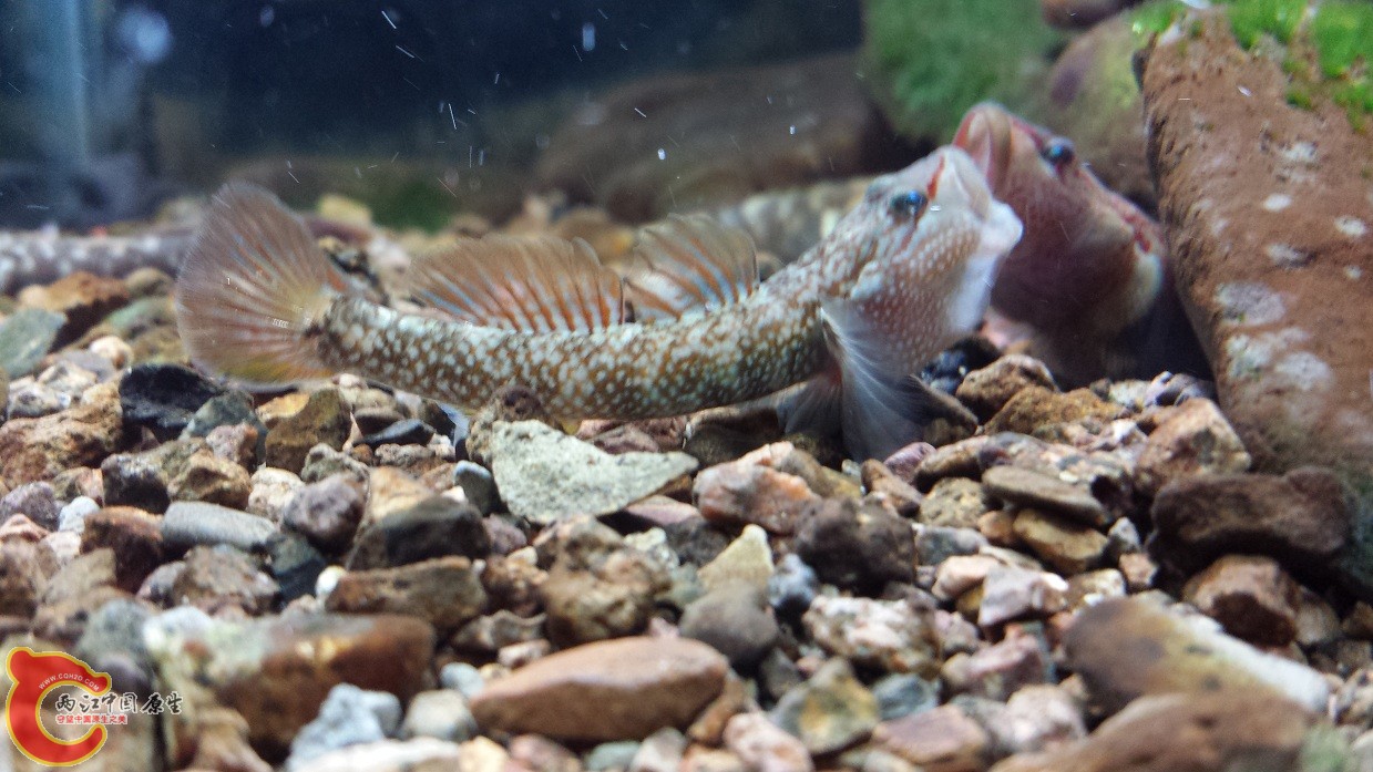 20140915_221755.jpg