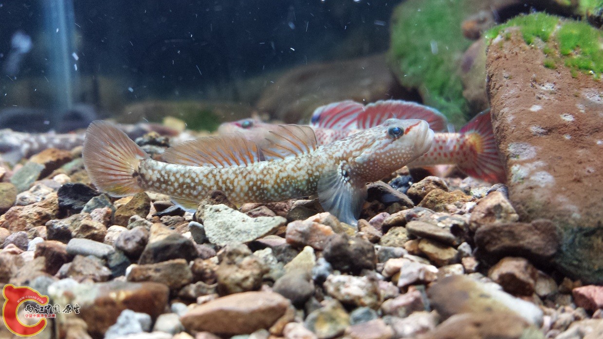 20140915_221759.jpg