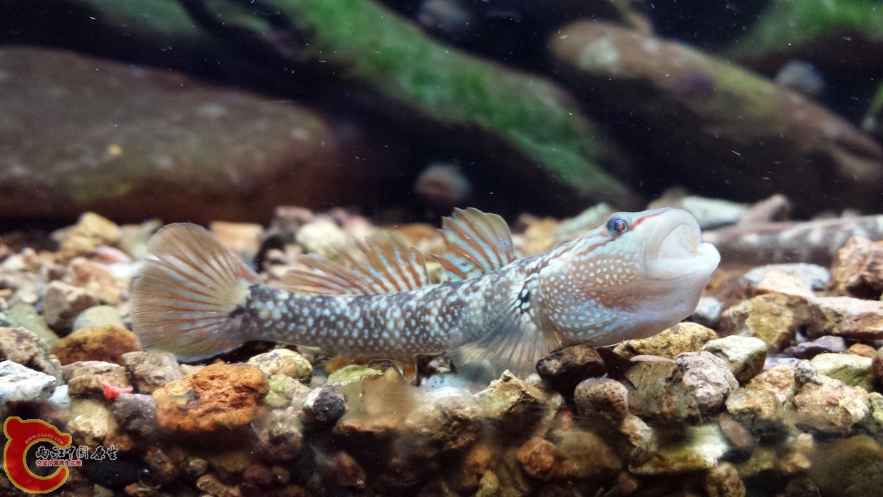 20140916_114118.jpg