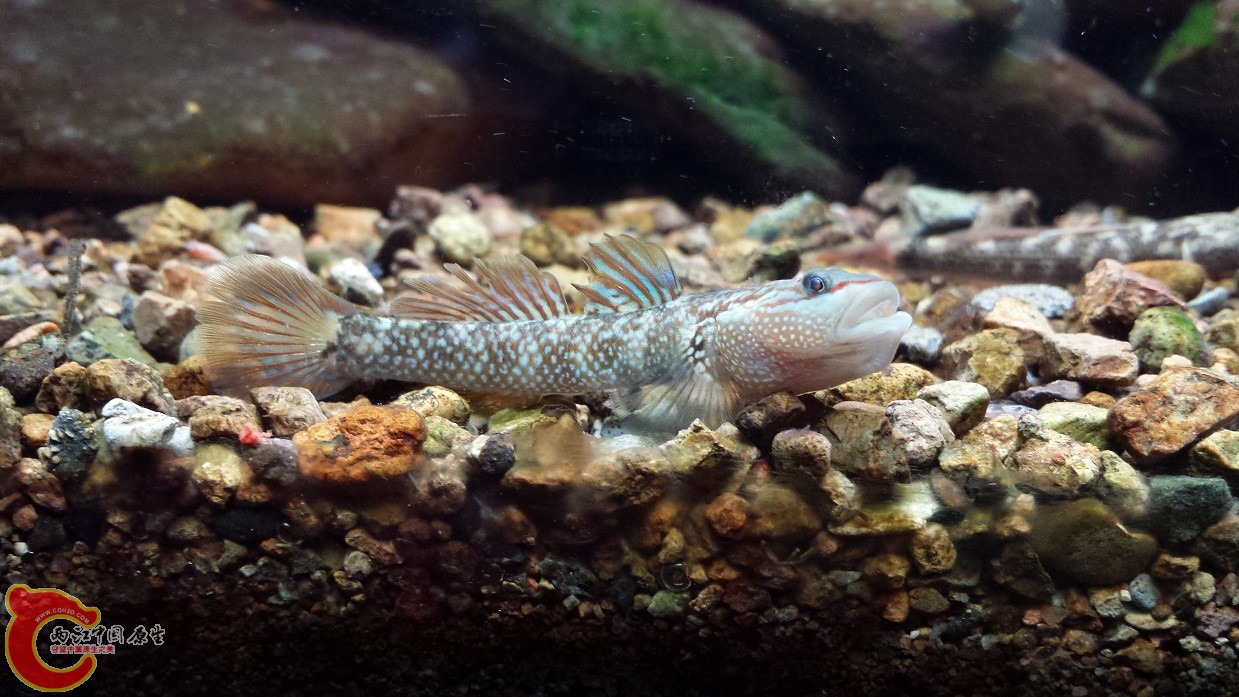 20140916_114325.jpg